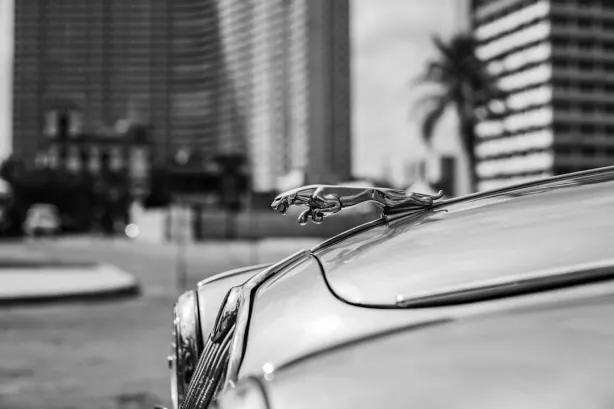 Betobet Casino App Android/iOS